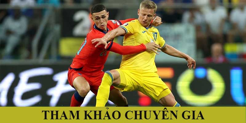 Tham khảo ý kiến từ các chuyên gia hàng đầu 